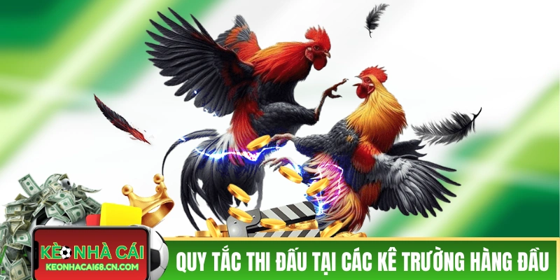 Quy tắc thi đấu tại các kê trường hàng đầu