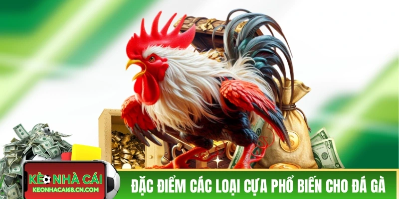 Đặc điểm của các loại cựa phổ biến cho đá gà