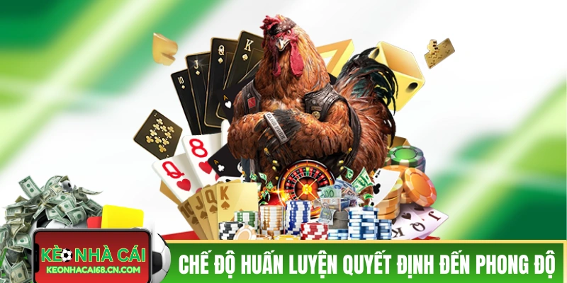 Chế độ huấn luyện quyết định đến phong độ 